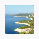 LUKOJ multimedia